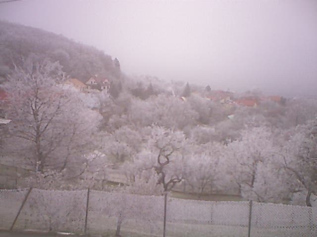 kamera