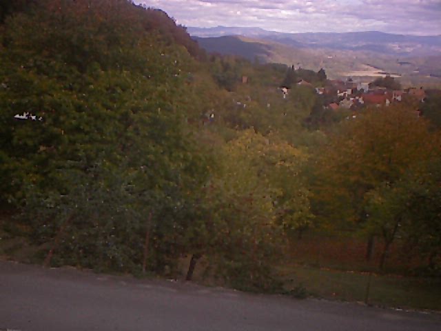 aktualne
