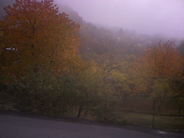 kamera