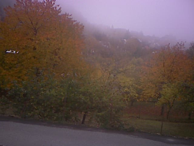 kamera